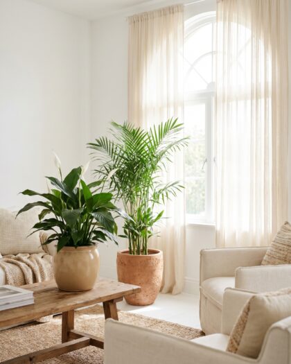 Air Purifiers